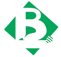 bazzlylinks logo